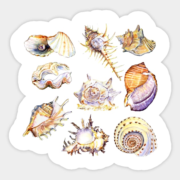 shell set watercolor illustration Sticker by victoriazavyalova_art